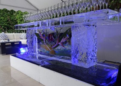 Order an Ice Sculptor for your event
